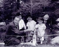 Mine Train Through Nature's Wonderland