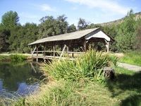 New Heights: Walt Disney’s Golden Oak Ranch