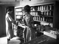 Look Closer: Women in the Disney Ink and Paint Department
