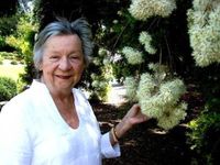 Patricia Dailey Disney (1935-2012)