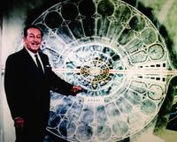 EPCOT Today: The Doyle Drive Project